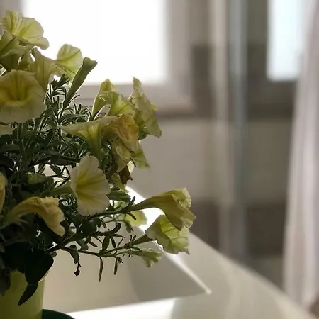 Appartamento Il Quadrifoglio