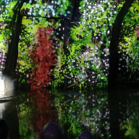 Il Quadrifoglio Lejlighed *